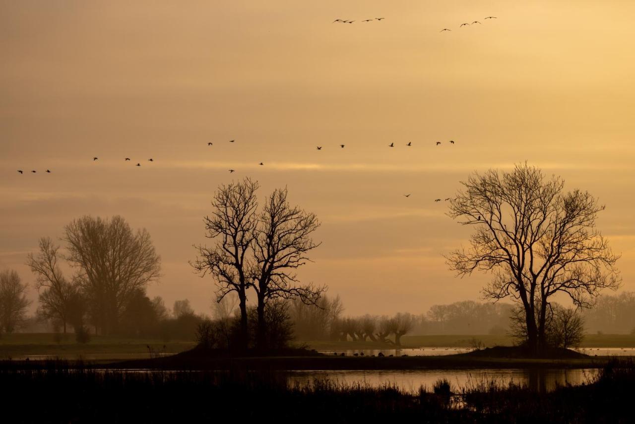 De Stadsboerderij Kampen Zewnętrze zdjęcie