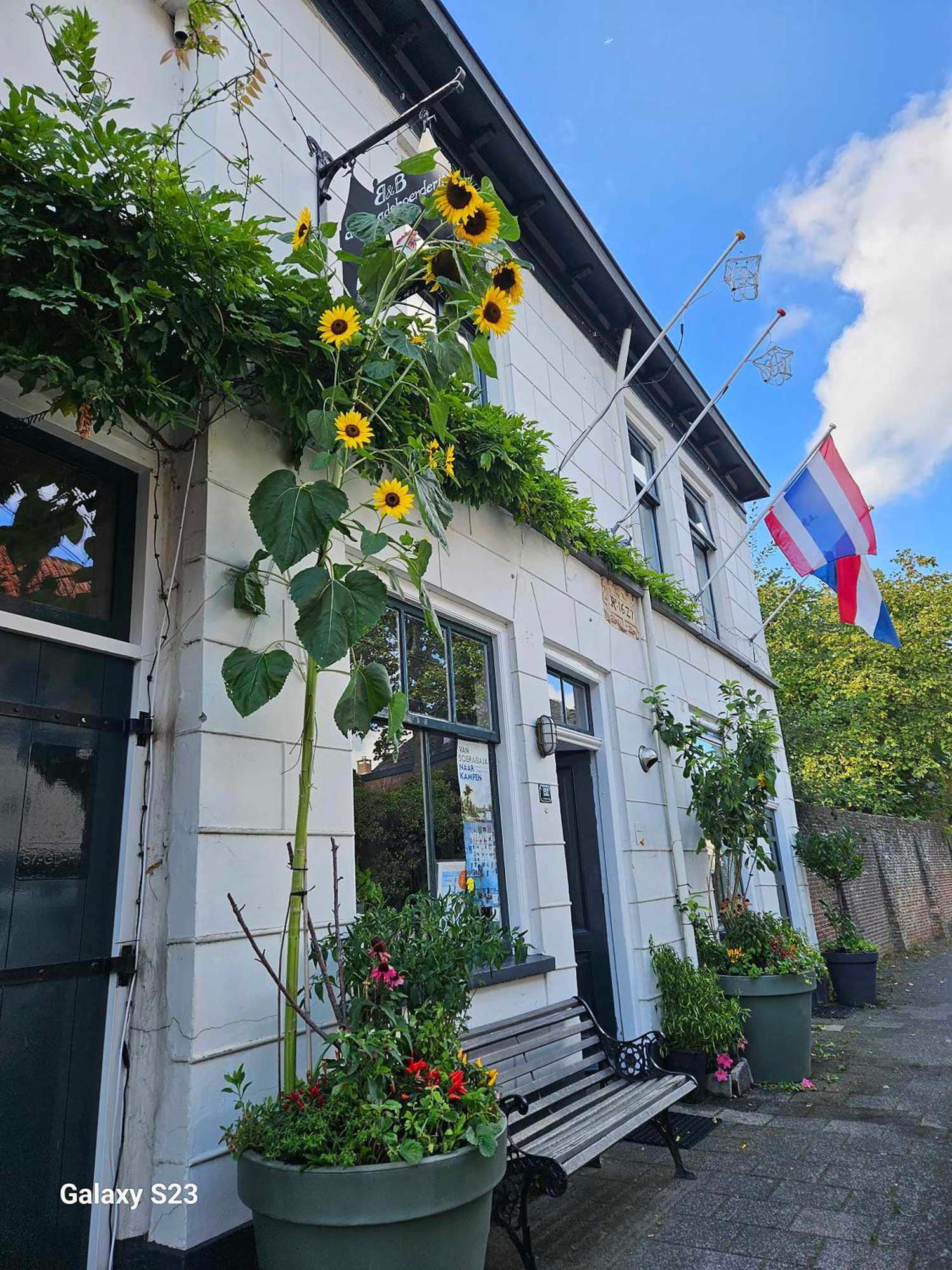 De Stadsboerderij Kampen Zewnętrze zdjęcie