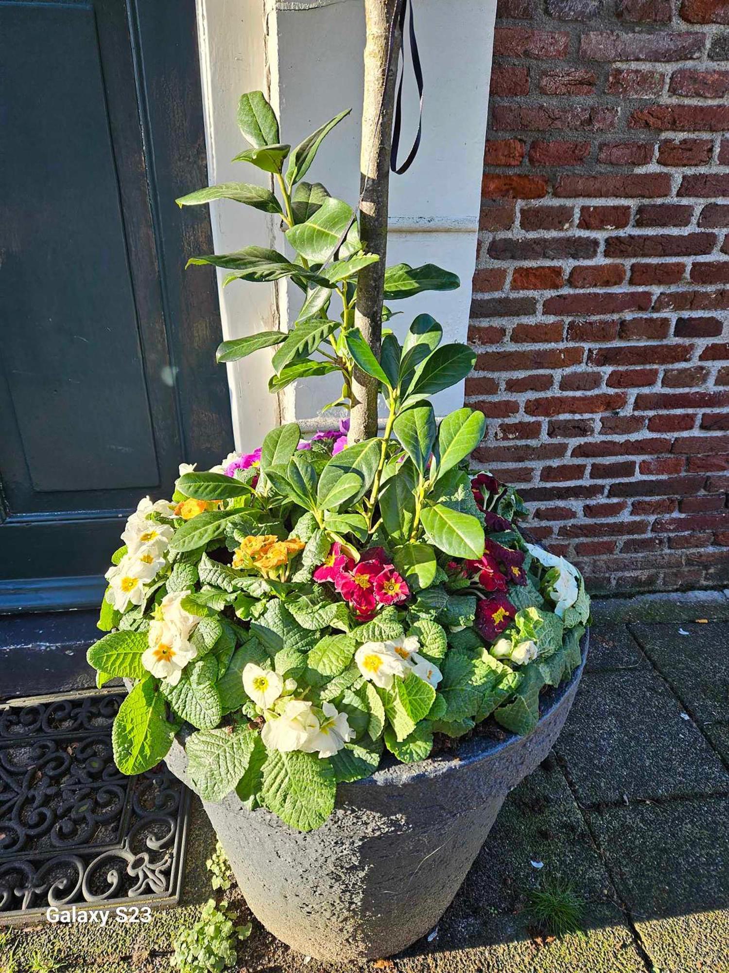 De Stadsboerderij Kampen Zewnętrze zdjęcie