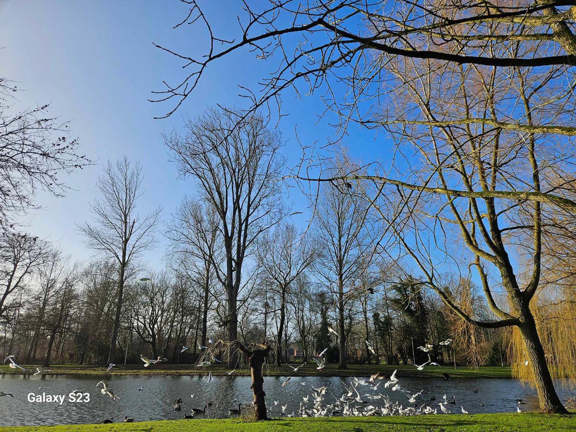 De Stadsboerderij Kampen Zewnętrze zdjęcie