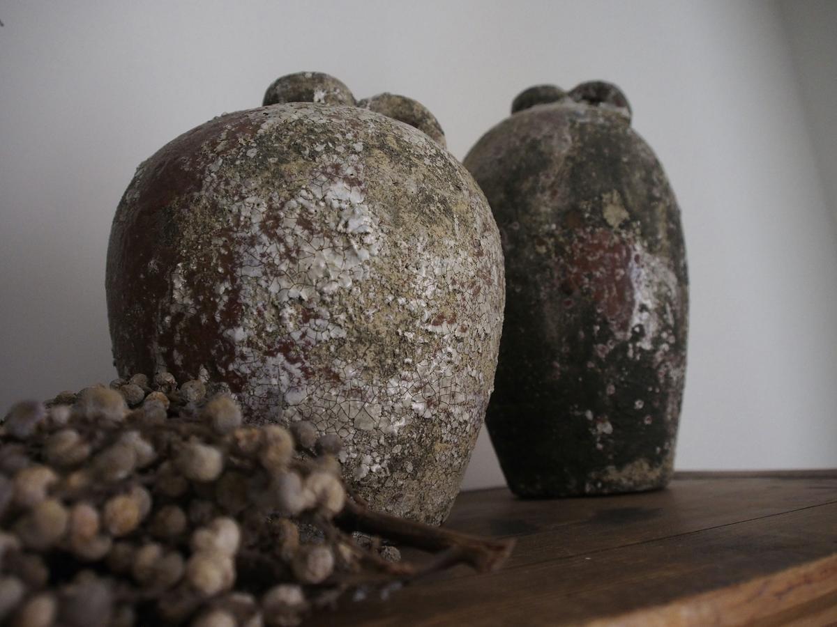 De Stadsboerderij Kampen Zewnętrze zdjęcie